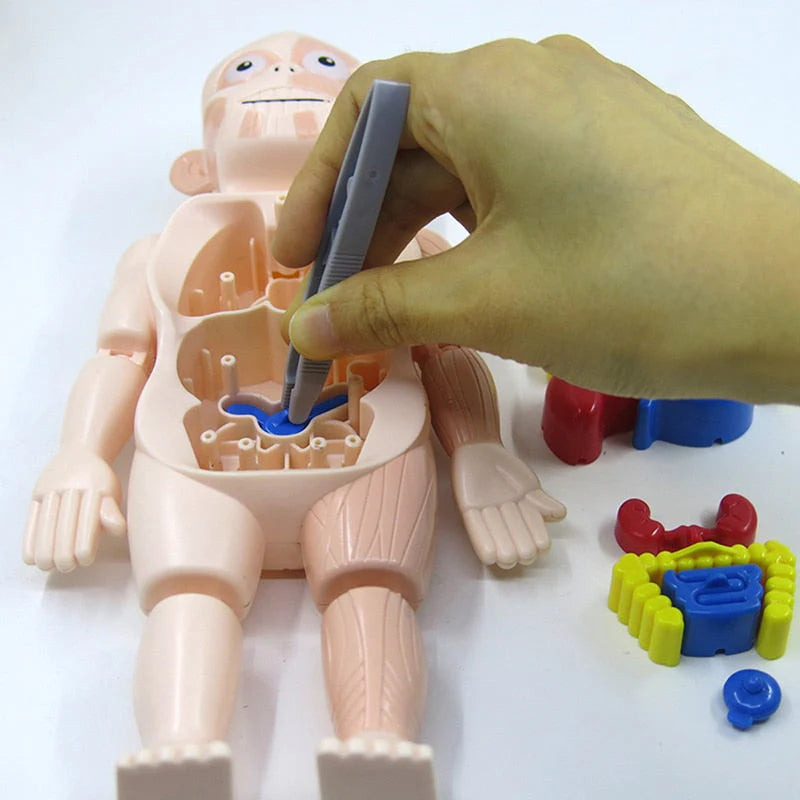 BRINQUEDO EDUCATIVO - BONECO ANATOMIA CORPO HUMANO